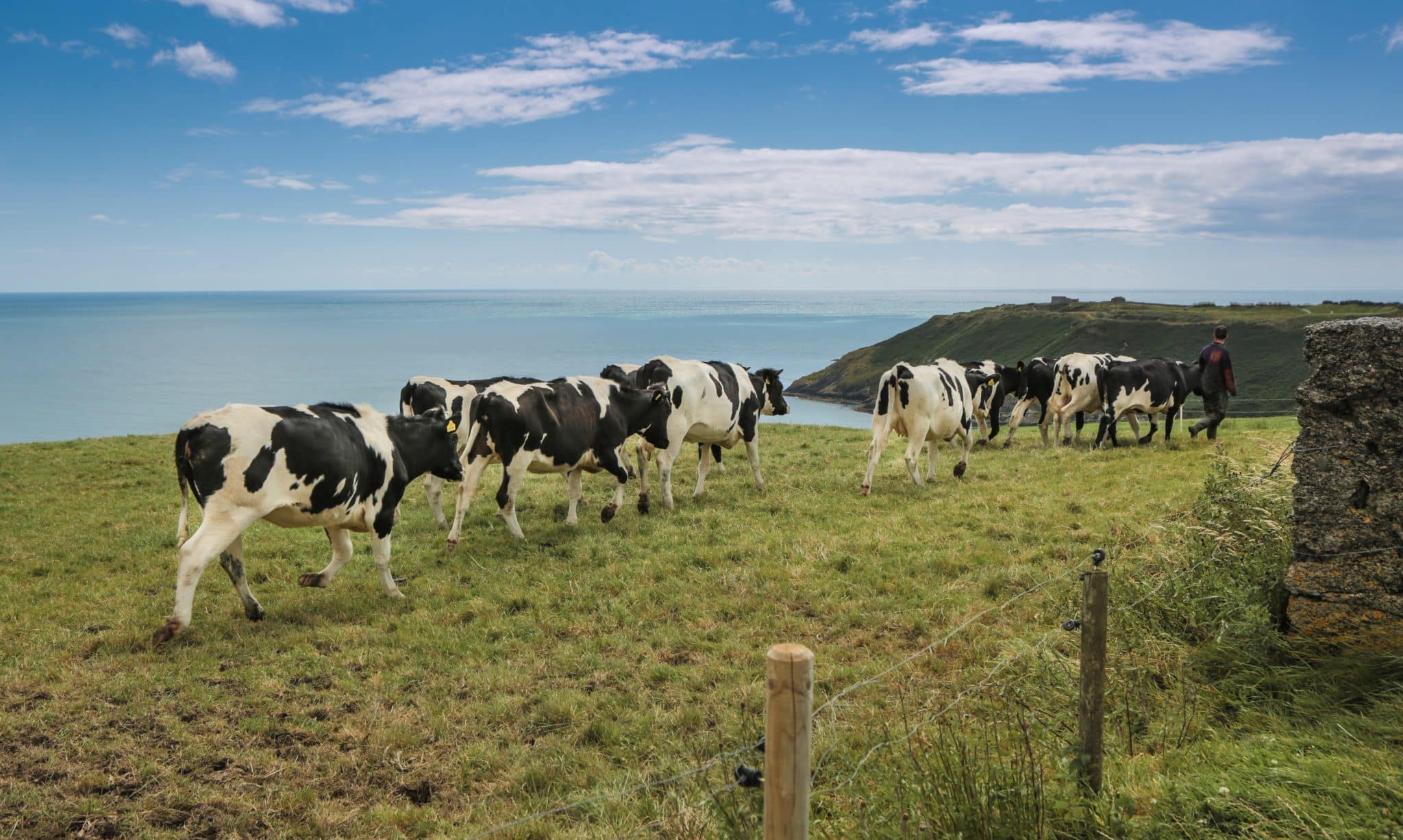 Ireland Deep Demonstration: Dealing with climate change and sustainability targets
