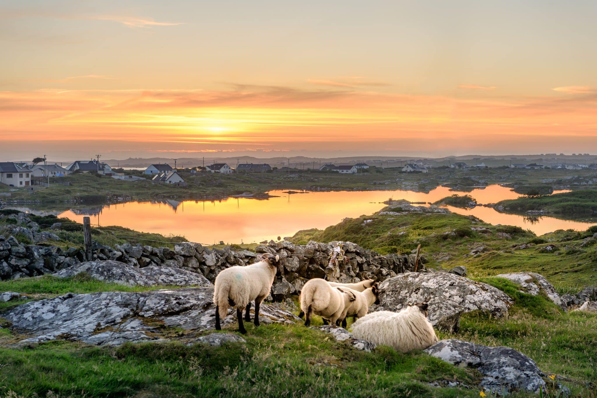 Ireland Deep Demonstration: land and agri-food system map