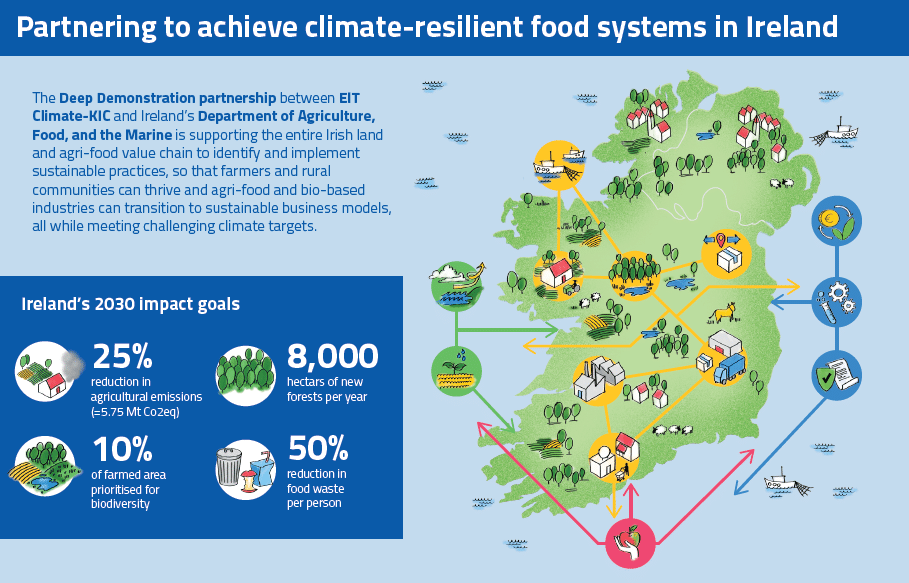 Ireland Deep Demonstration: infographic